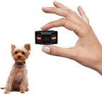 Comparison of guidoy bark collar size against a coin for scale