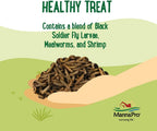 Manna Pro Farmhouse Favorites protein treat close up texture of dried ingredients