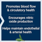 Life Extension NitroVasc Boost supplement scoop detail