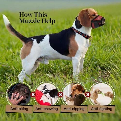Authentic LETSQK small dog muzzle packaging contents close up