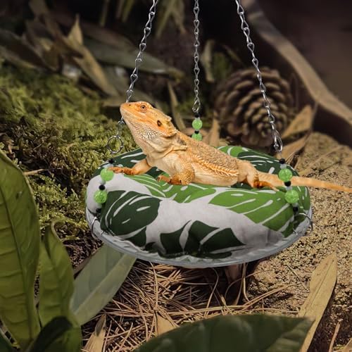 Small pet hammock inside a terrarium setup