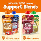 Happy Baby organic stage 2 baby food pouch convenience design