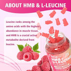 Liqherb Meenccd Hmb And L-Leucine Gummies texture and chewable form
