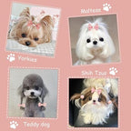 Small dog wearing pink floral top knot hair bow