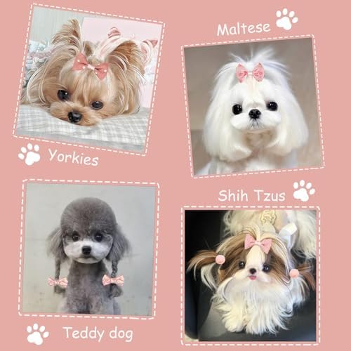 Small dog wearing pink floral top knot hair bow