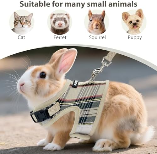 Aiitle plaid pattern small pet harness laid flat with the matching walking leash attachment.