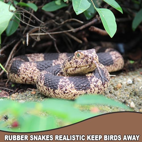 Upitry realistic garden plastic snake deterrent placed on a tree branch