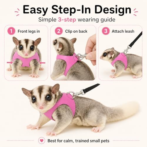 Meow and Woof sugar glider training vest with 1.6 meter leash attached