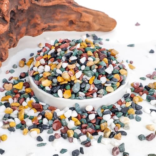 Cjgq natural river rocks for succulent soil topping