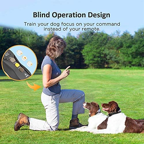 Rechargeable Patpet collar charging port and cable