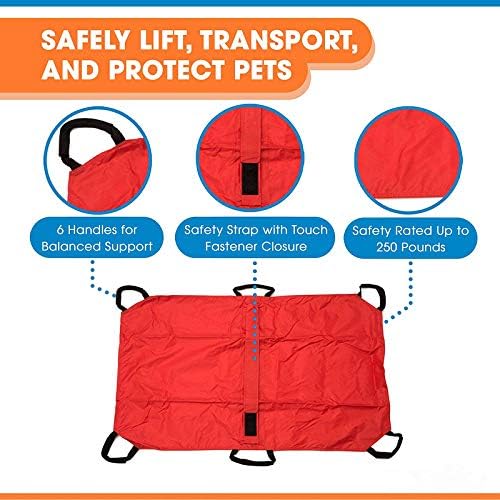 Camcce emergency animal carrier safety strap close up detail