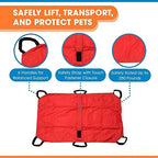 Camcce emergency animal carrier safety strap close up detail