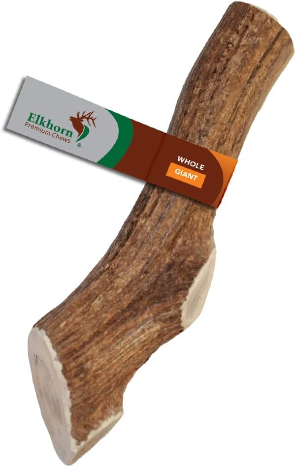 Elkhorn Premium Chews - X Large Whole Single Pack (for 50-90 lb Dogs) Premium Grade Elk Antler for Dogs (1 Piece) Sourced in the USA - Image 14