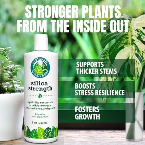 Detailed view of Silica Strength liquid concentrate bottle for houseplants