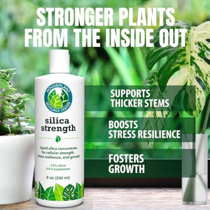 Detailed view of Silica Strength liquid concentrate bottle for houseplants