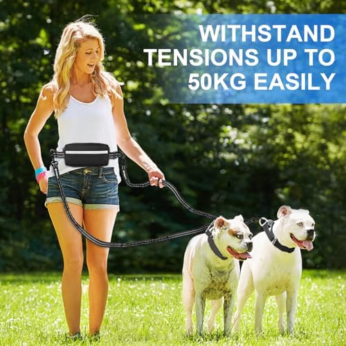Philorn durable hardware for two dog walking