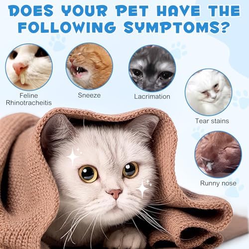 CJXHJY Onznoz 2 fluid ounce liquid lysine supplement for cats lifestyle display
