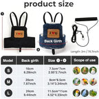 Black bird training harness with rubber grip handle close up