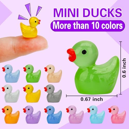 JYXT miniature duck figures arranged inside a beautifully decorated fish tank aquarium.