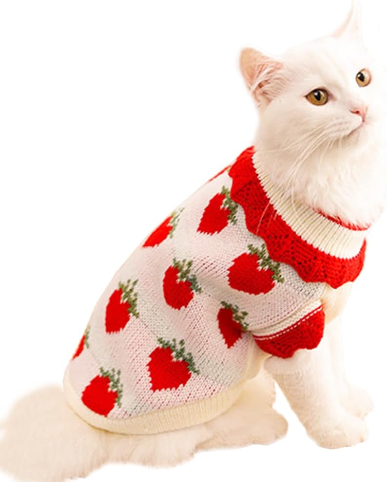 ANIAC strawberry turtleneck cat sweater front view showing red fruit pattern