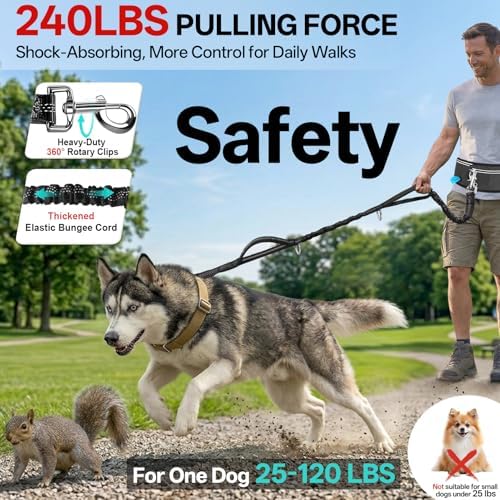 iYoShop heavy duty shock absorbing bungee dog leash for large dogs