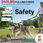 iYoShop heavy duty shock absorbing bungee dog leash for large dogs