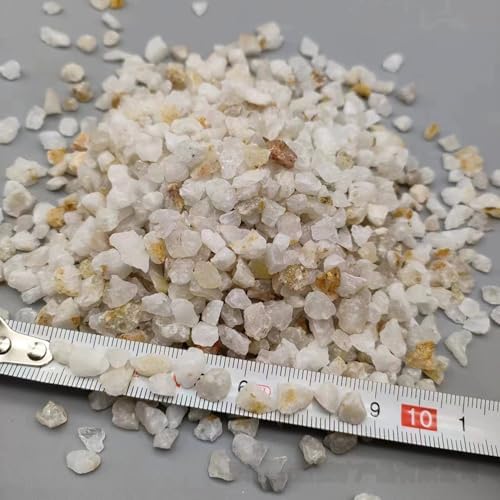 Lyrtrees silica sand inside a glass terrarium