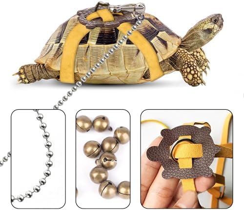 Reptile harness and leash set with stainless steel swivel rotary buckle