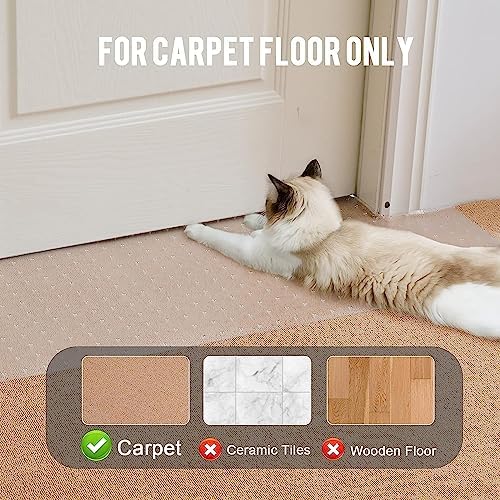 White cat resting calmly next to the clear protective floor mat
