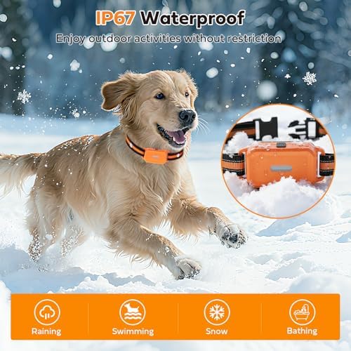 HRRVEE adjustable electronic training collar on small medium and large dogs