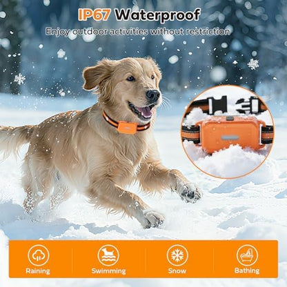 HRRVEE adjustable electronic training collar on small medium and large dogs
