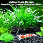 Shrimp swimming in tank with Hygger Co2 aquarium soil