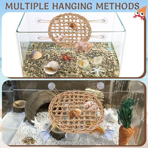 Enriched hermit crab environment featuring the circular seagrass mat decorated with artificial plants