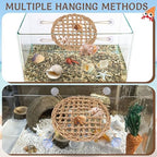 Enriched hermit crab environment featuring the circular seagrass mat decorated with artificial plants