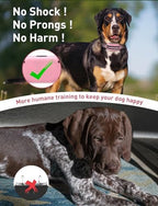 Pink and white vibrating anti bark collar alongside remote transmitter highlighting 2800 feet range