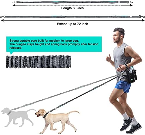 Adjustable waist belt with phone pouch for dog running gear