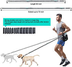 Adjustable waist belt with phone pouch for dog running gear