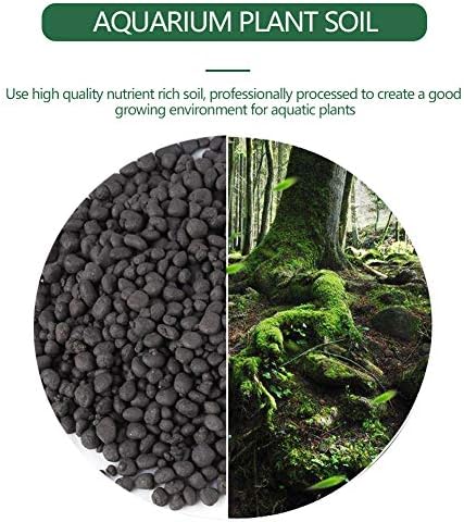 Aquarium with lush plants growing in black substrate