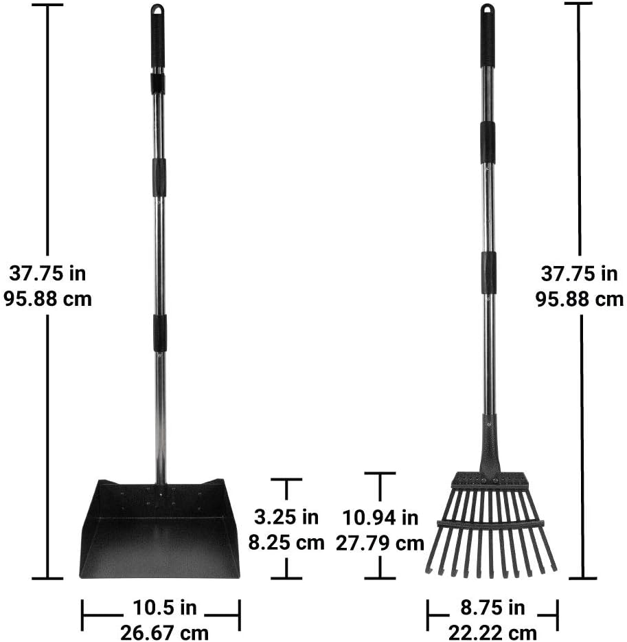 Durable metal yard waste collection pan and rake cleaning up after large pets