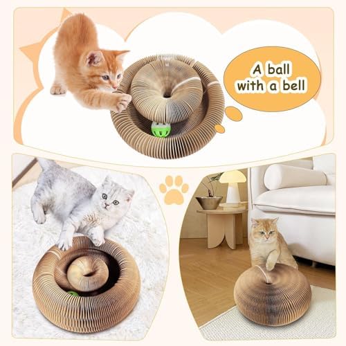 A small cat resting comfortably inside the contoured center bowl shape used as an interactive pet bed.