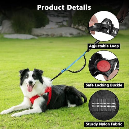 Lievuiken hands free leash heavy duty metal buckle with three hundred sixty degree rotation.