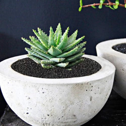 Toypopor decorative crushed stones in glass vase