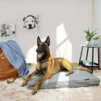 Explore Land heavy duty pet mattress protective shell with covered zipper closure
