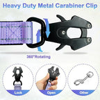 Close up of quick release carabiner and swivel hook