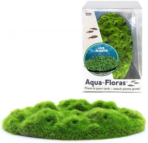 Penn-Plax aquarium living resin decoration with live Glosso seeds starting to sprout.