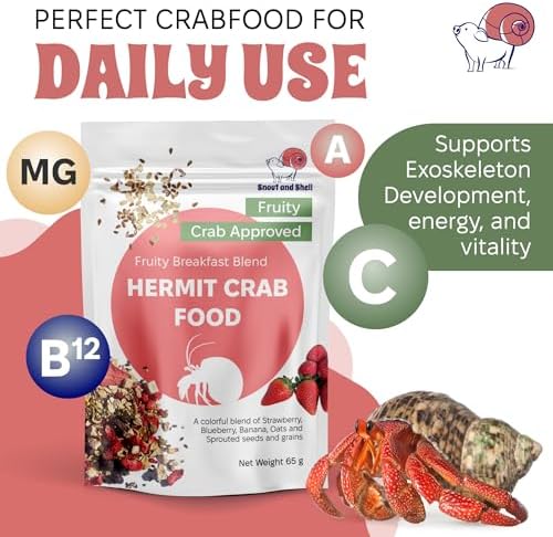 Technical Precision Snout And Shell Natural Hermit Crab Food ingredients layout
