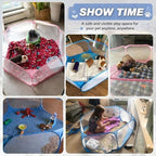 Top-down view of the 47-inch wide circular pet play space