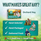 Small Pet Select Orchard Grass Hay pet food lifestyle shot