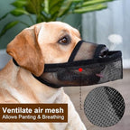 Crazy Felix pet mouth guard demonstrating how a dog can drink water