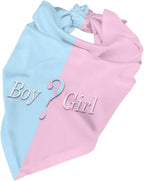 Vercosee dog gender reveal accessory flat lay display